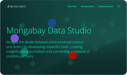 Data Studio